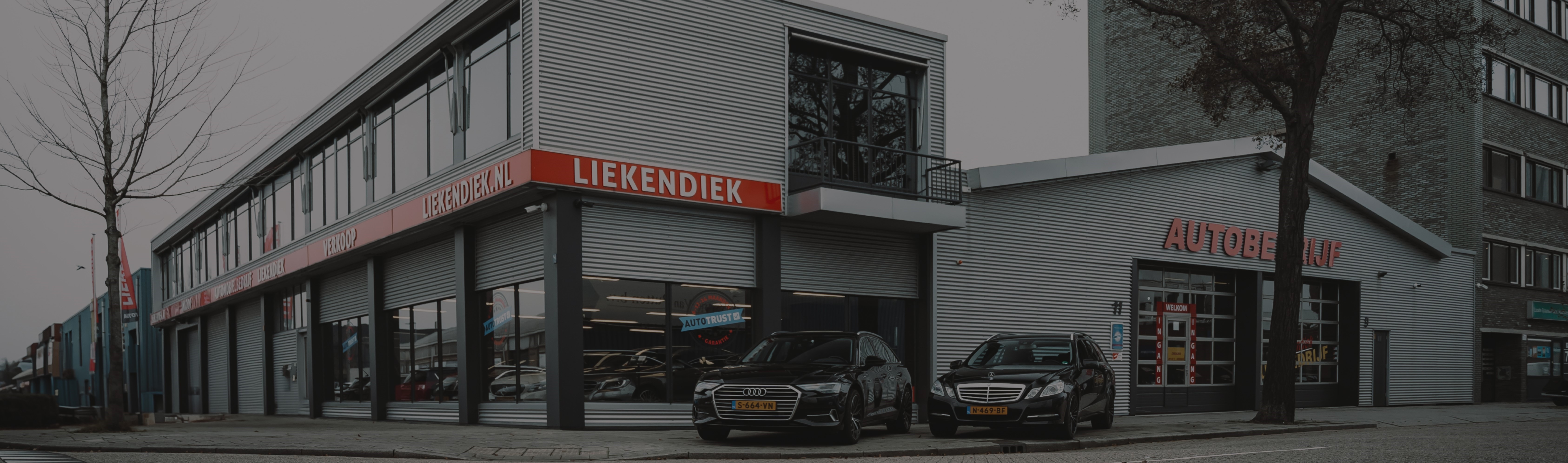 Header Image 1