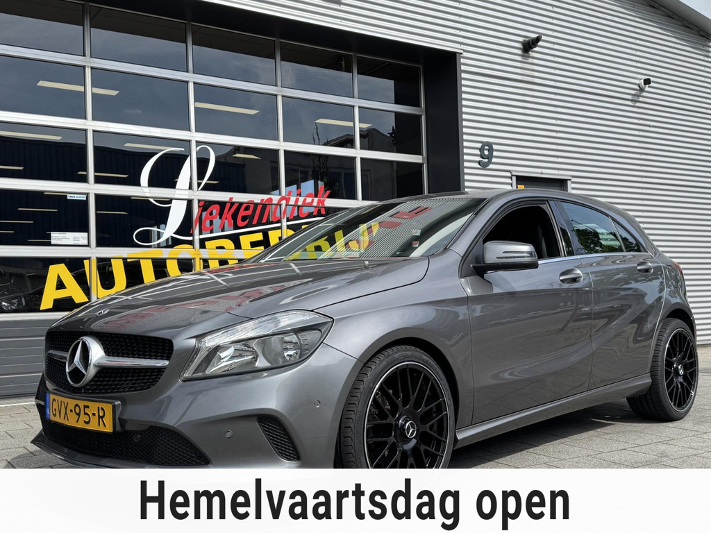 53387515-7.jpg