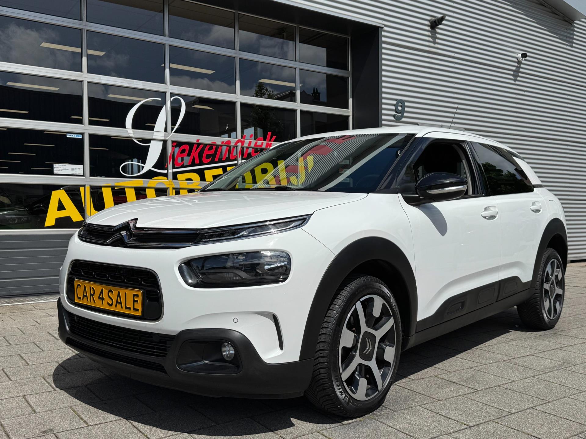45167625-5.jpg